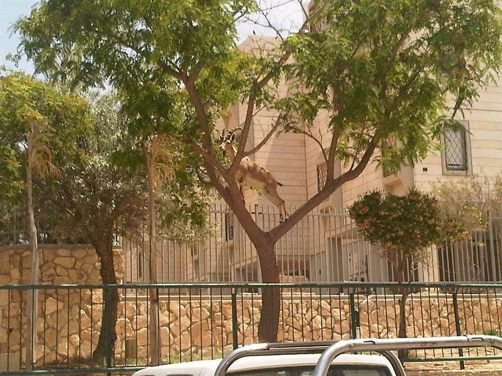 Ramon Suites By Smart Hotels Mitzpe Ramon Εξωτερικό φωτογραφία
